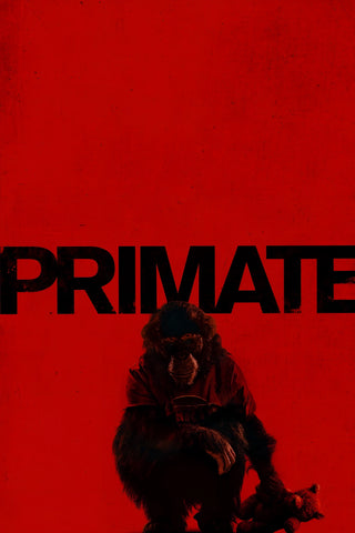 Primate