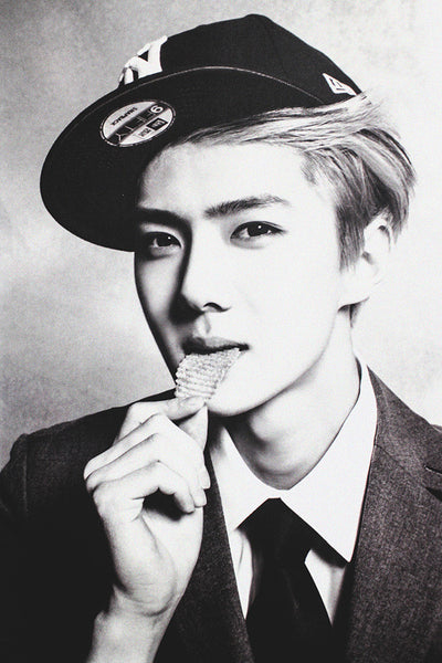 Sehun Exo Kpop Black and White Poster – My Hot Posters
