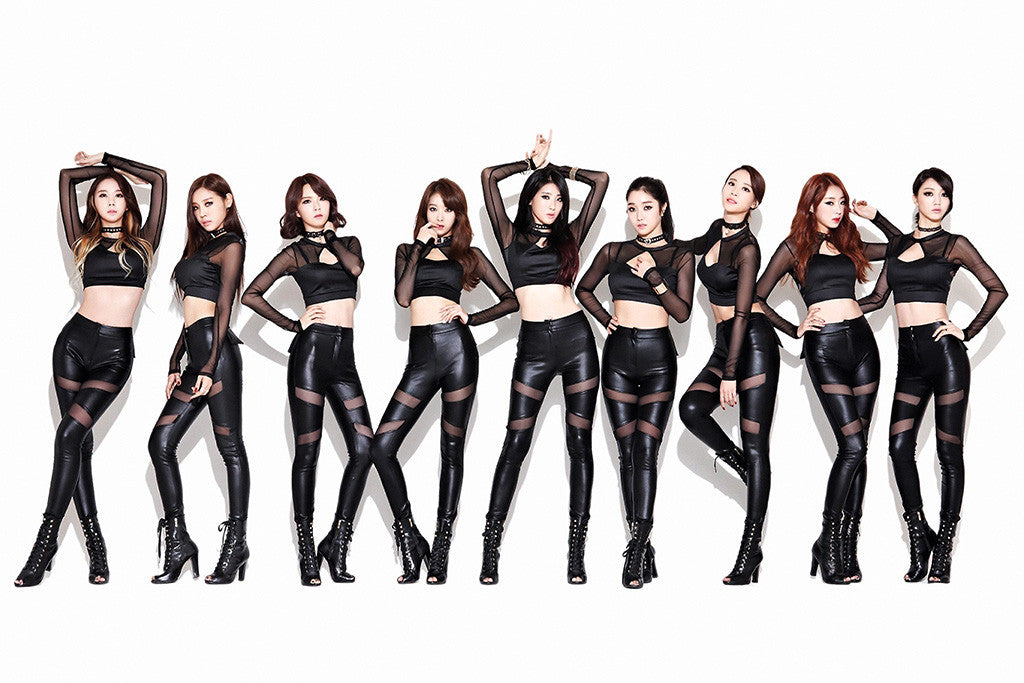 9 Nine Muses Kpop Poster
