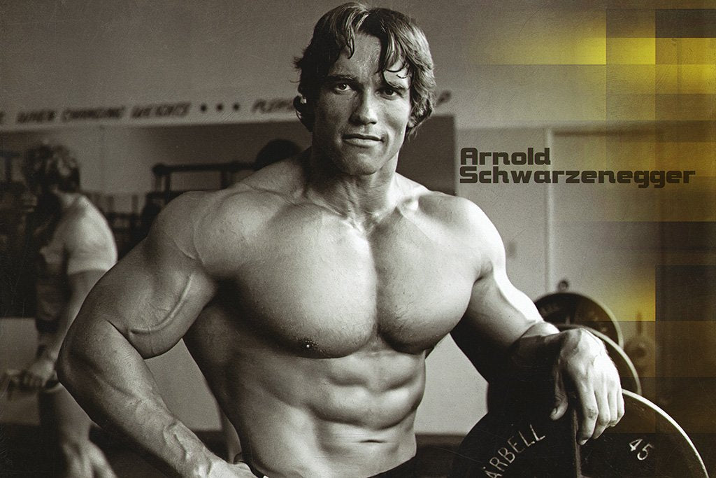 Arnold Schwarzenegger Young Fan Art Poster
