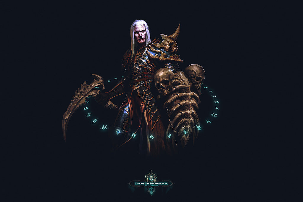 Diablo III Rise Of The Necromancer Game Poster