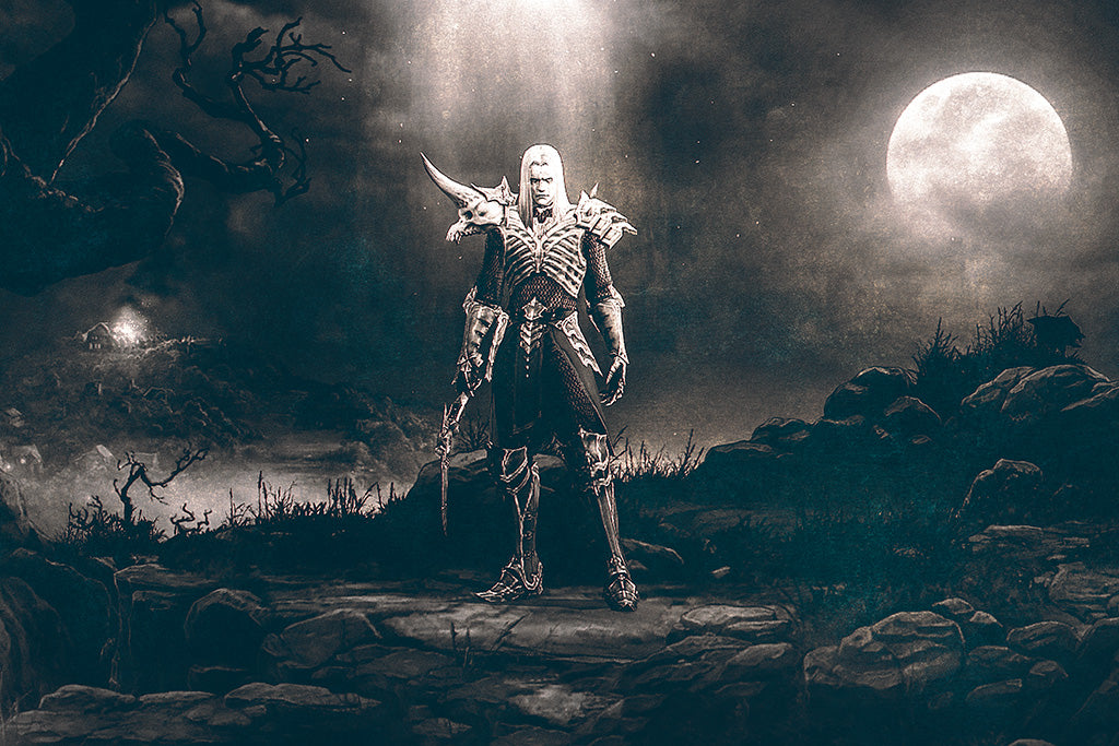 Diablo III Rise Of The Necromancer Game Poster