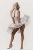 Marilyn Monroe Blowing Dress Poster