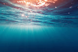 Underwater World Sea Ocean Poster