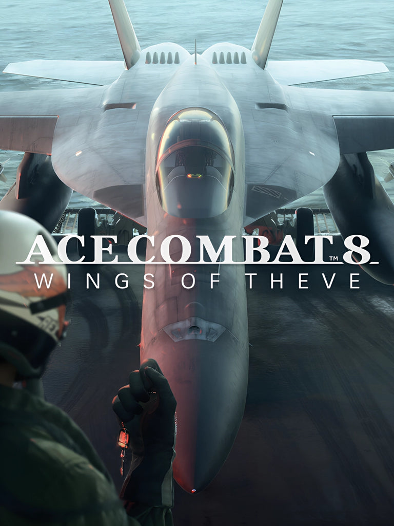 Ace Combat 8: Wings of Theve