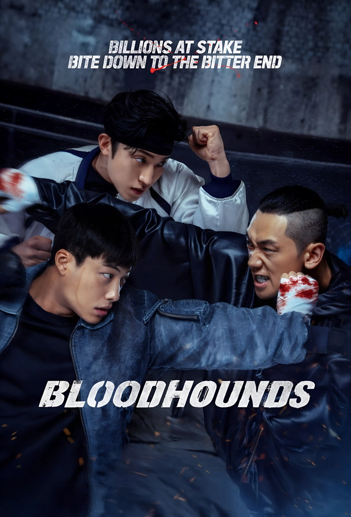 Bloodhounds Season 2 TV Show