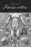 Frankenstein No.6 Poster