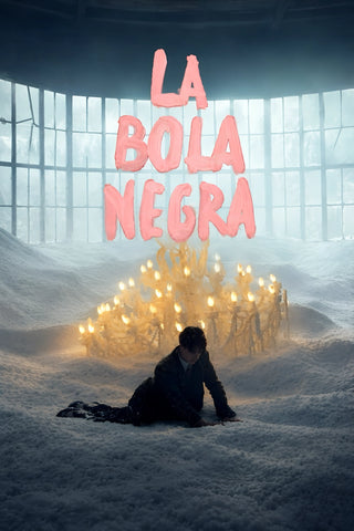 LA BOLA NEGRA