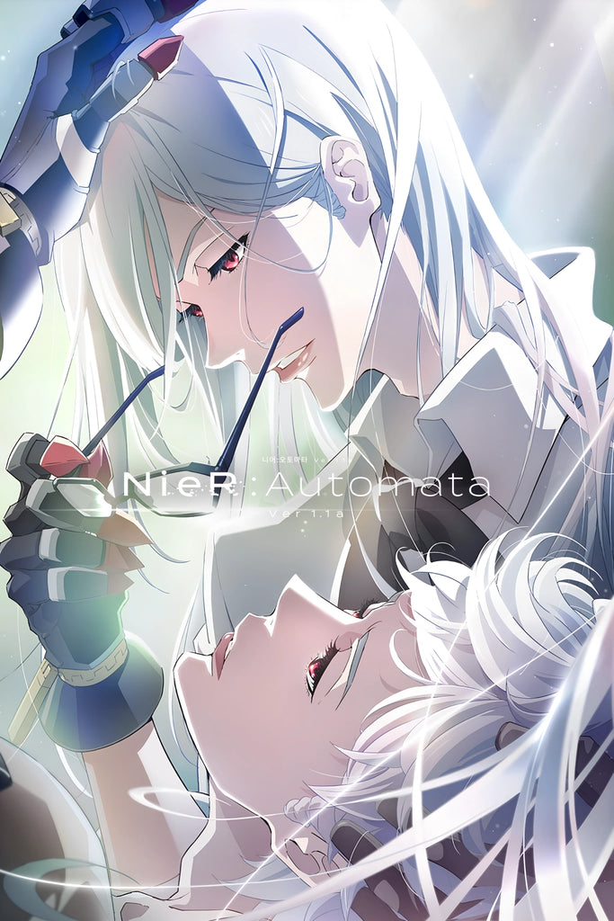 NieR:Automata Ver1.1a