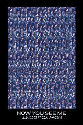 Now You See Me: Now You Don't
