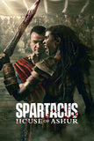 Spartacus: House of Ashur TV Show No.1 Poster