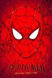 Spider-Man: Brand New Day Poster No.9