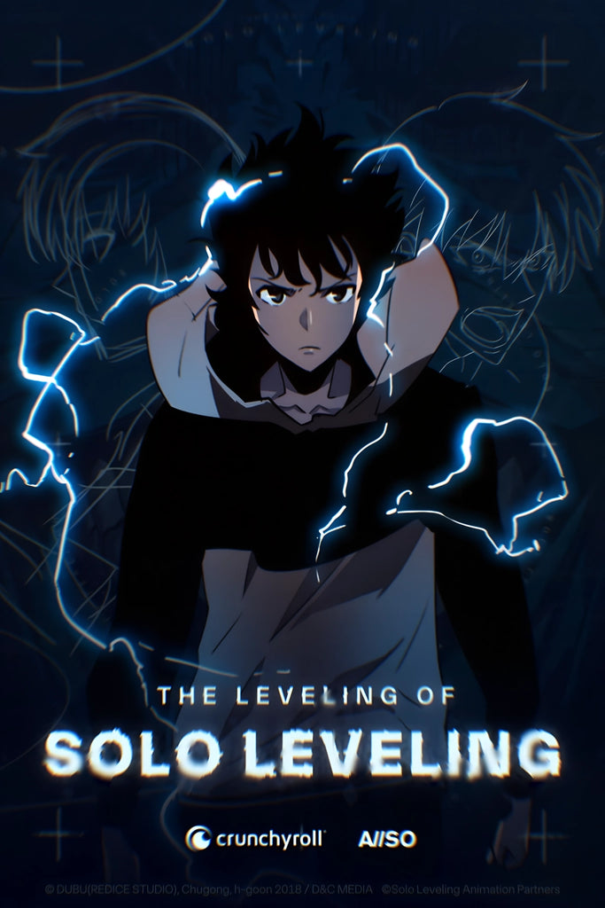 THE LEVELING OF SOLO LEVELING Anime