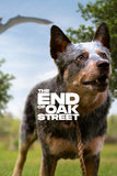 The End of Oak Street Poster No.6