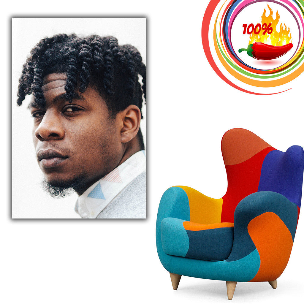 Mick Jenkins Rapper Music Hip-Hop Poster – My Hot Posters