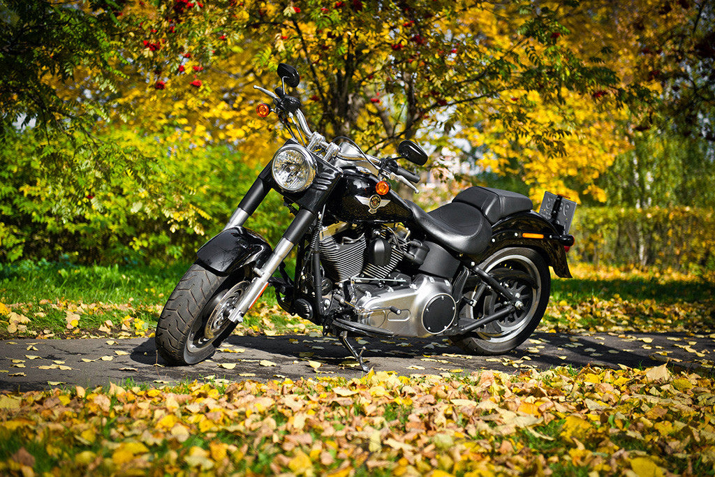 Harley Davidson Motorcycle Bike Nature Autumn Poster