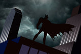 Batman Comics Picture Poster
