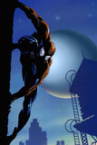 Spider-Man Spider Man SpiderMan Comics Poster