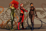 Catwoman Selina Kyle Harley Quinn Poison Ivy Comics Poster