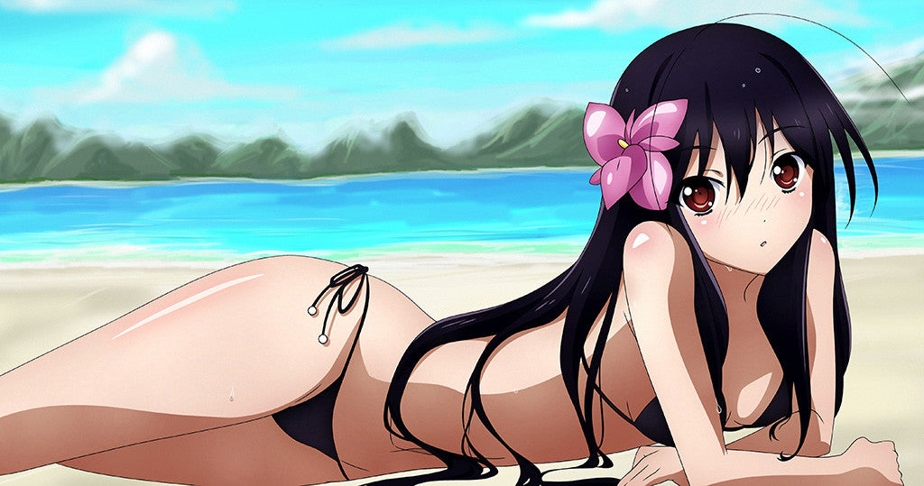 Accel World Bikini Anime Hot Girl Anime Poster