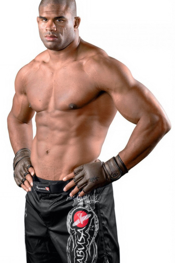 Alistair Overeem Kickboxer MMA Fighter Poster