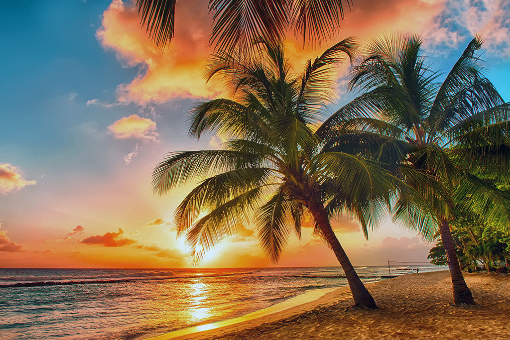 Tropical Sunset Beach Landscape Poster