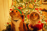 Cats New Year Santa Claus Elf Christmas Tree Poster