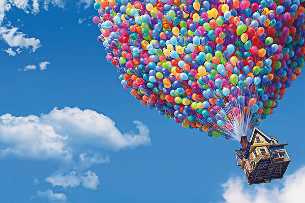 Up Pixar Cartoon Movie Poster – My Hot Posters