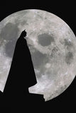 Batman Moon Movie Poster