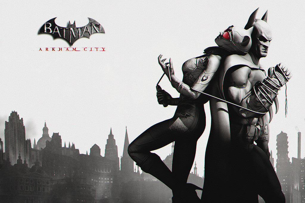 Batman Arkham City Batgirl Poster