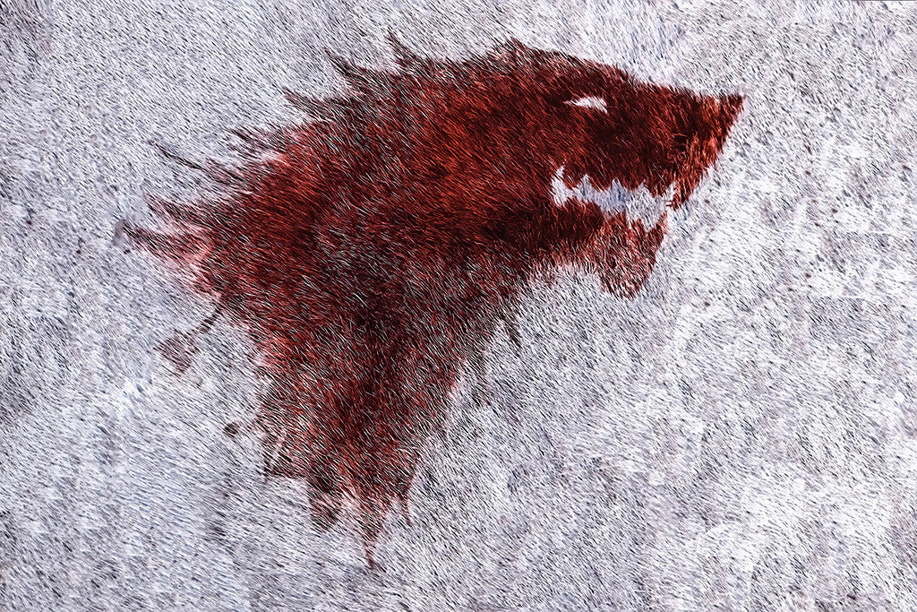 Game of Thrones Stark Winter is Coming Blood Poster