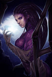 StarCraft Kerrigan Art Poster