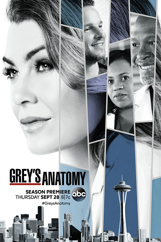 Grey's Anatomy Season 14 Poster
