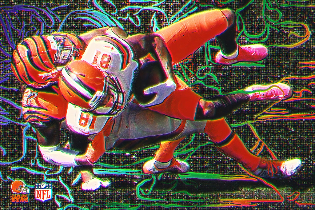 NFL Season 2018 Cleveland Browns Poster