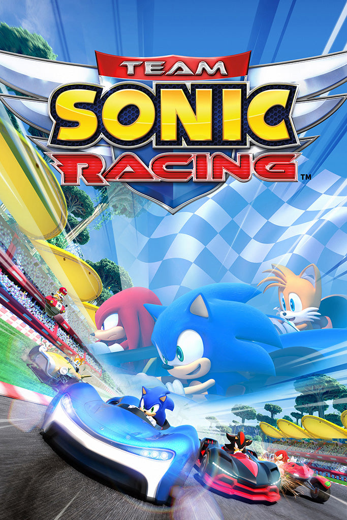 Sonic Poster