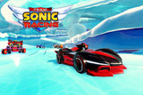 Team Sonic Racing Game Poster