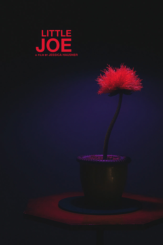 Little Joe Poster
