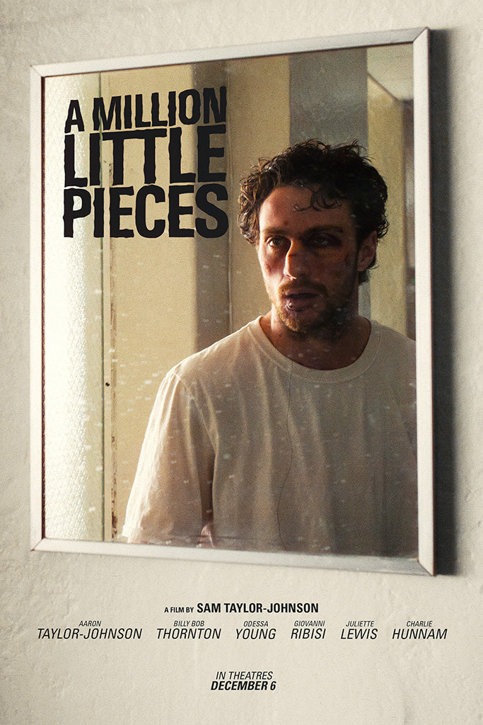 A Million Little Pieces Film Poster