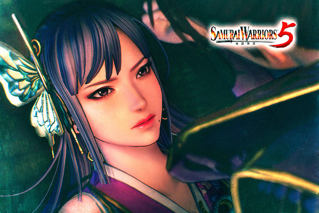 Samurai Warriors 5 Video Game Poster