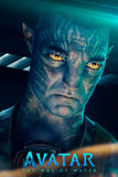 Avatar The Way of Water Movie Poster