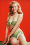 Marilyn Monroe Bikini Body Red Poster