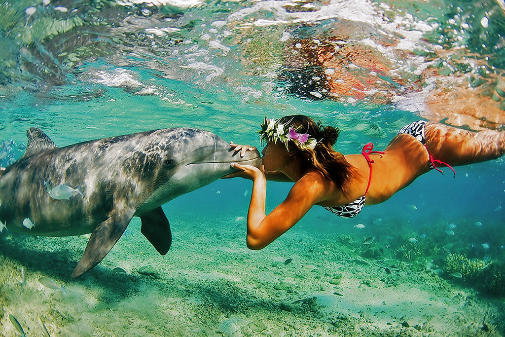 Dolphin Girl Ocean Sea Summer Kiss Poster