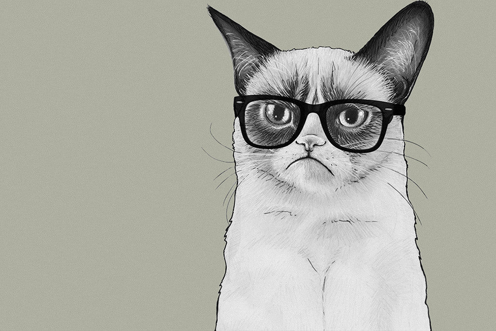Grumpy Cat Angry Kitten Tardar Sauce Glasses Poster