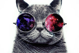 Cat Glasses Funny Poster