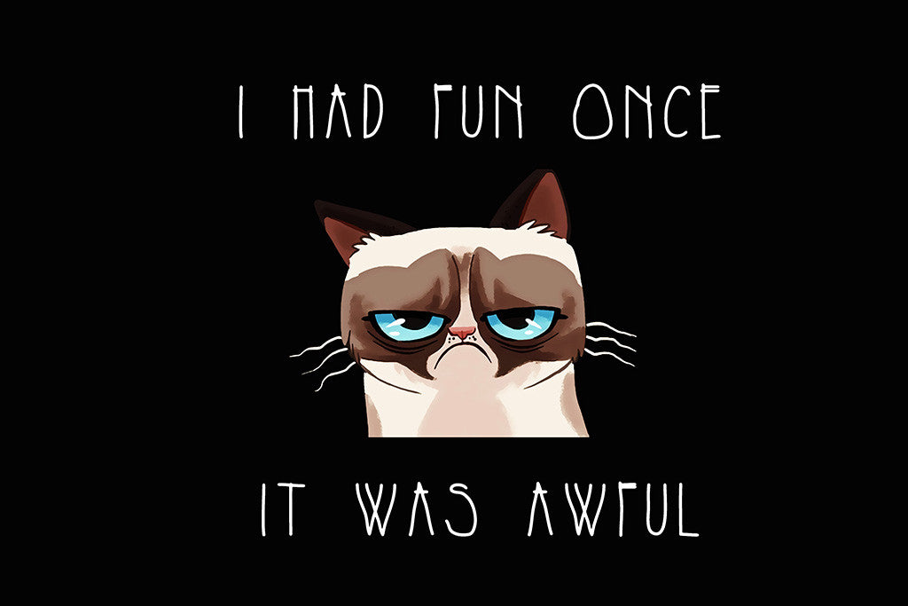 Grumpy Cat Quotes Funny Prank Poster