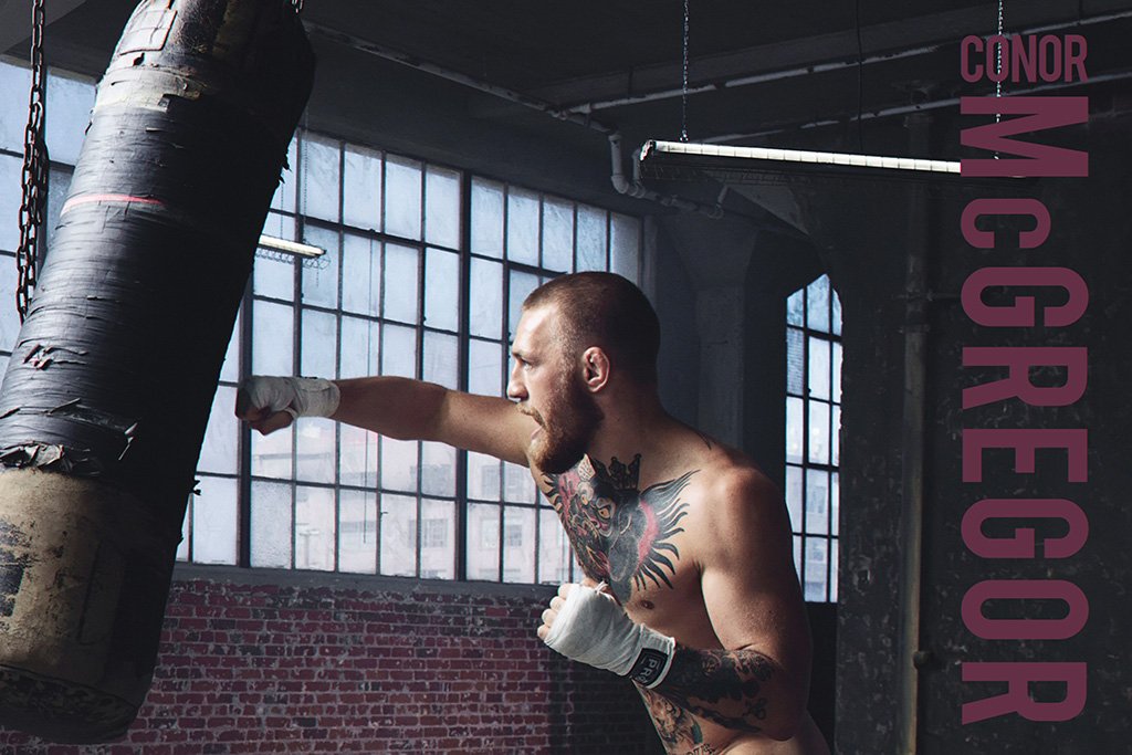 Conor McGregor Punching Bag Poster