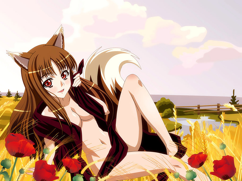 Spice And Wolf Hot Sexy Pin-Up Horo Manga Anime Poster