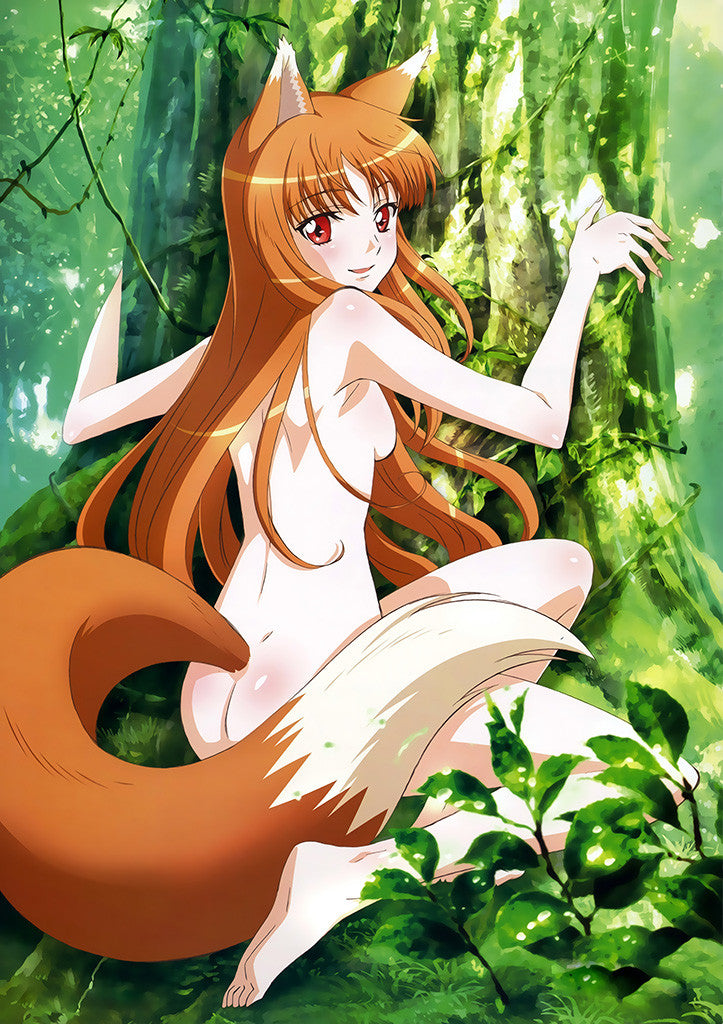 Wolf Girl Naked Toon Girls - Spice And Wolf Hot Sexy Nude Girl Horo Anime Poster â€“ My Hot Posters