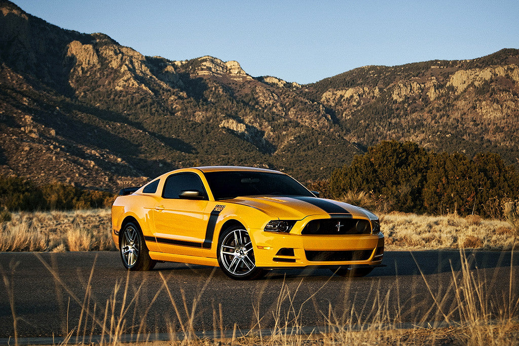 Ford Mustang Boss 302 Poster