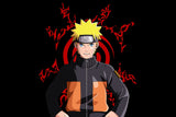 Anime Naruto Shippuden Uzumaki Poster